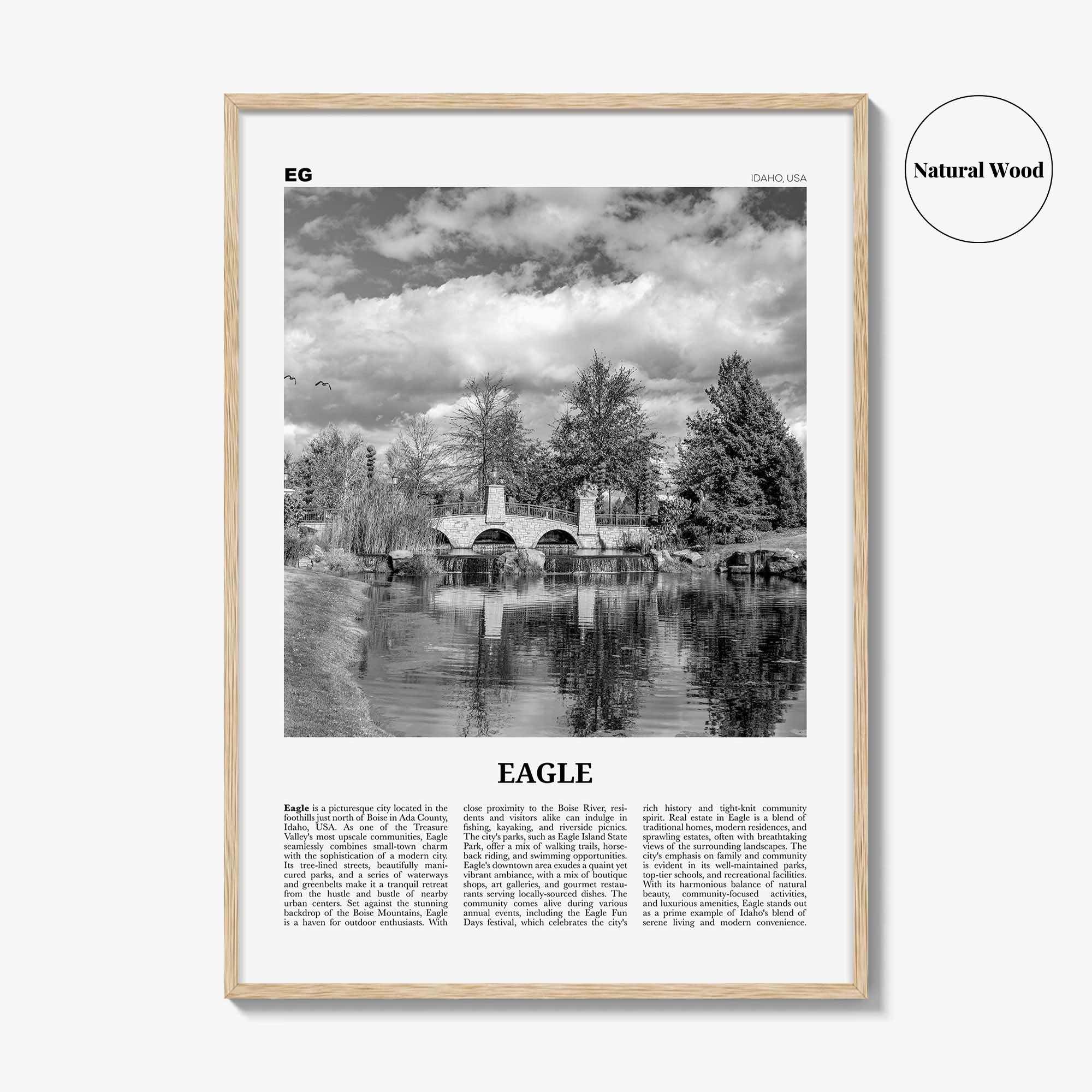 Eagle Print Black and White, Eagle Wall Art, Eagle Poster, Eagle Photo, Eagle Wall Décor, Eagle Map Poster