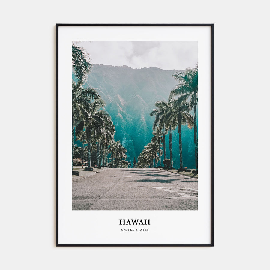 Hawaii Portrait Color No 1 Poster