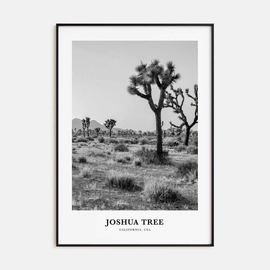 Joshua Tree National Park Portrait B&W No 1 Poster