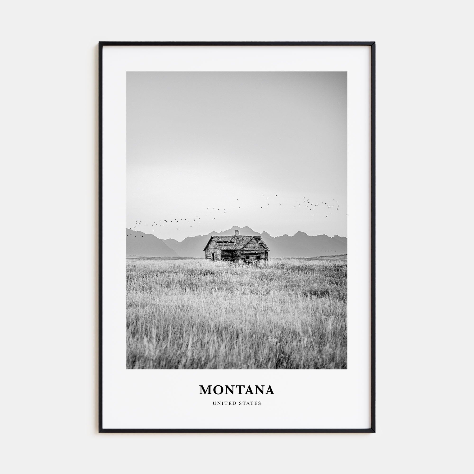 Montana Portrait B&W No 1 Poster