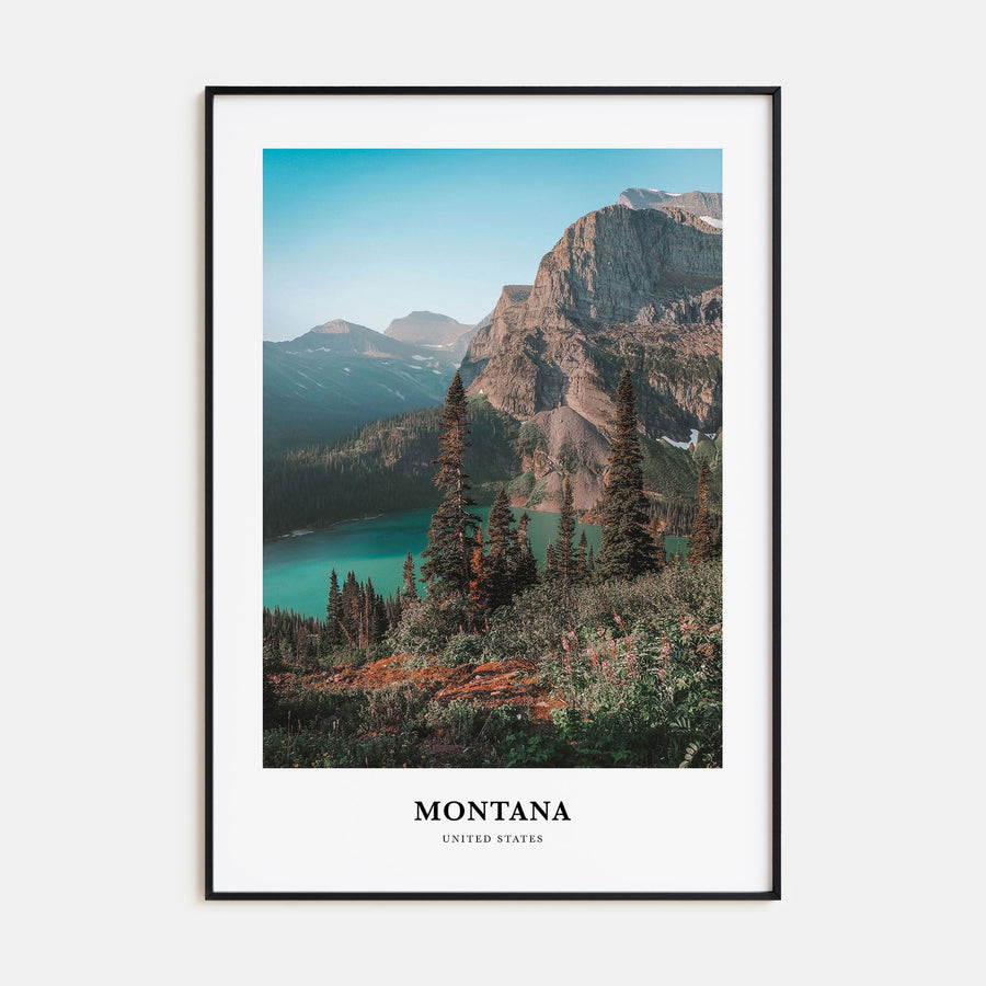 Montana Portrait Color No 1 Poster
