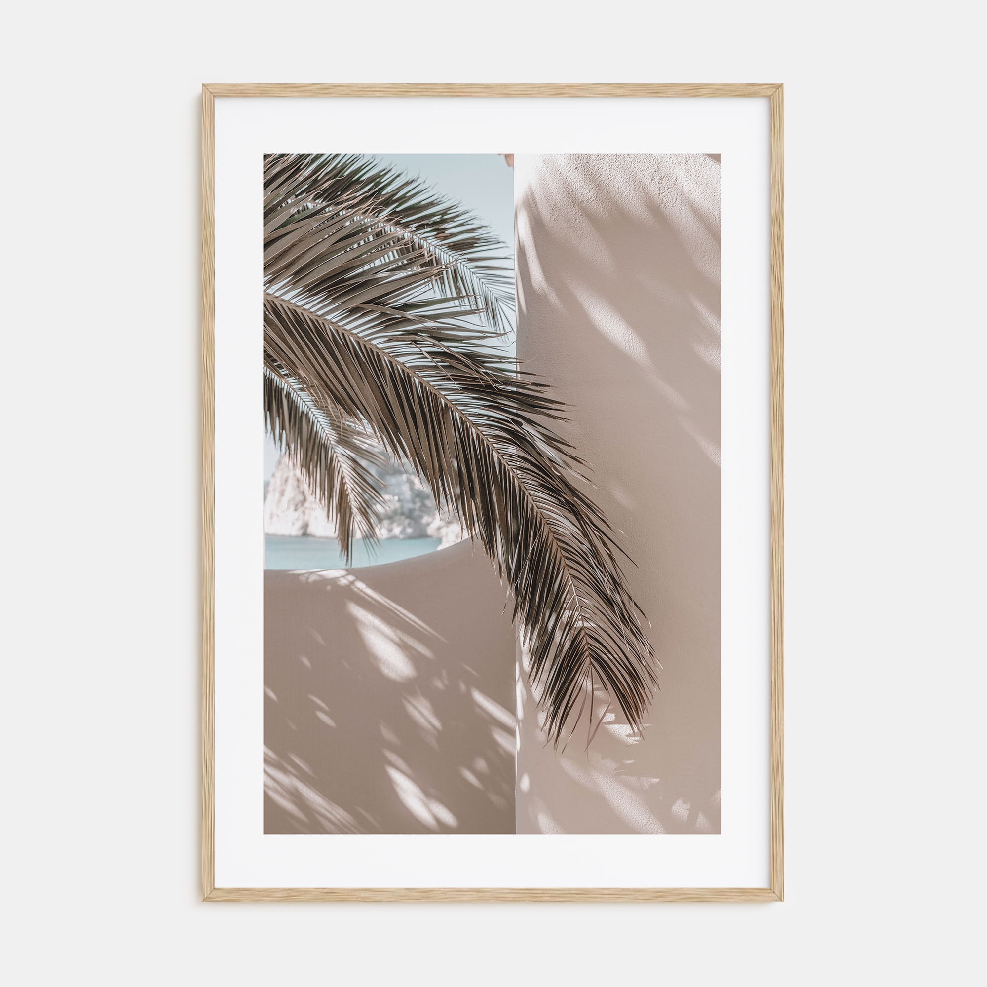 Palm Leaf Shadow Photo Color Poster