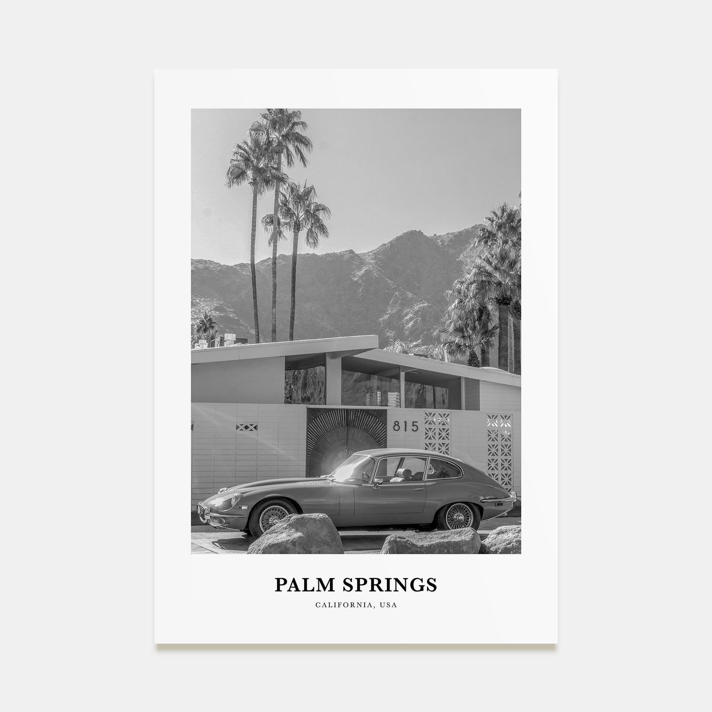 Palm Springs Portrait B&W No 1 Poster