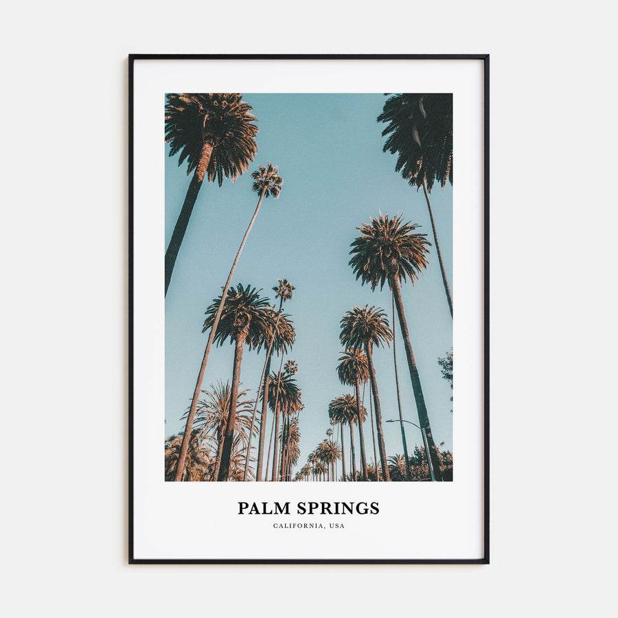 Palm Springs Portrait Color No 1 Poster