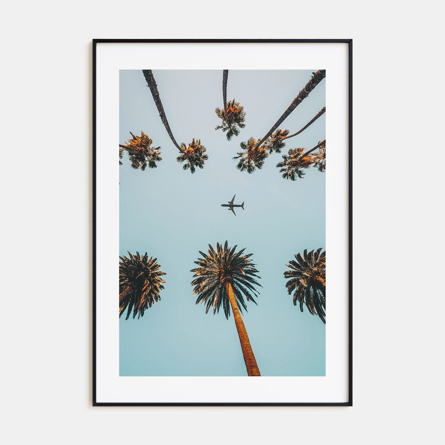 Palm Trees, Sky and Aircraft Photo Color Poster