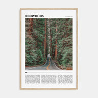 Redwoods Travel Color Poster