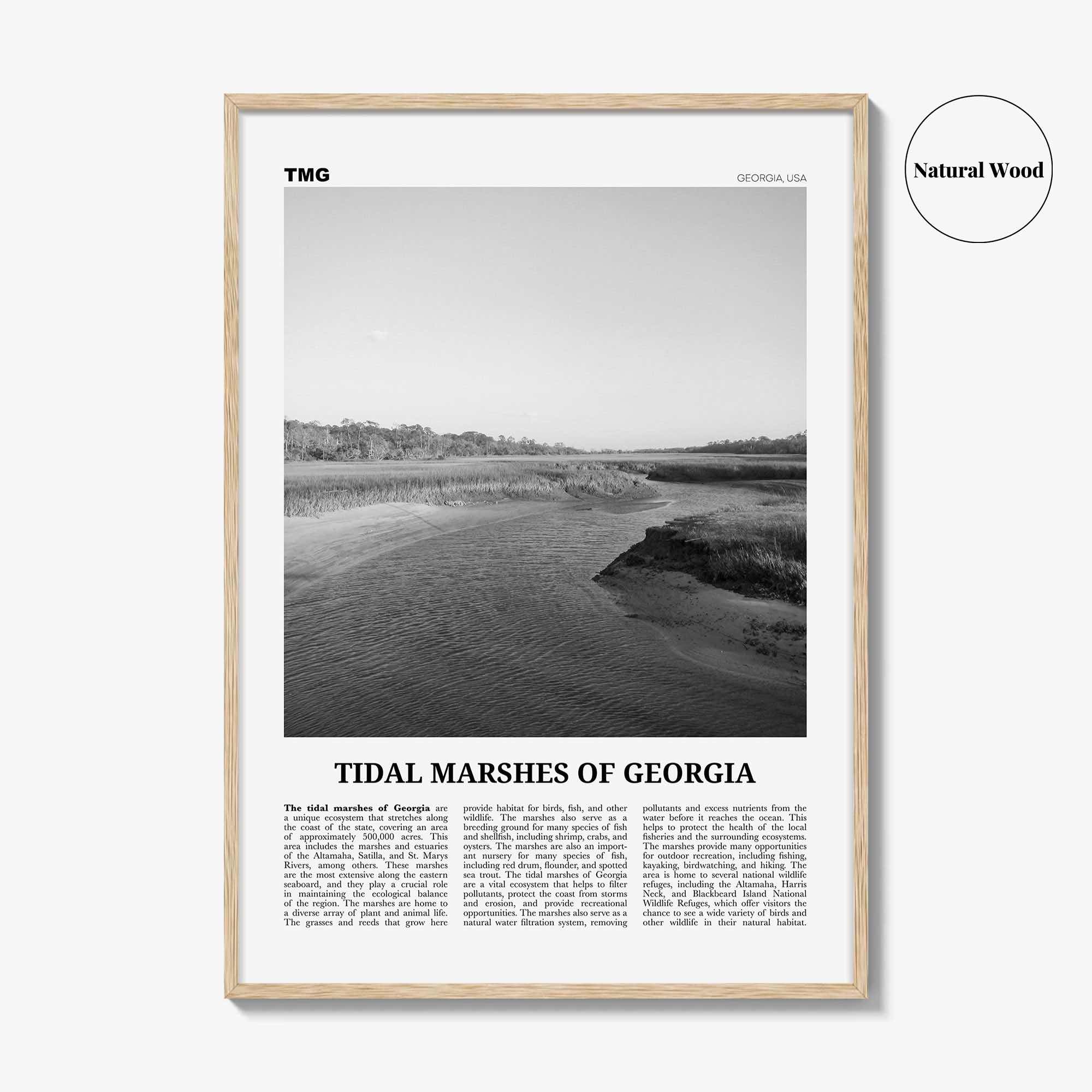 Tidal Marshes Of Georgia Print Black and White, Tidal Marshes Wall Art, Tidal Poster, Photo, Tidal Marshes Wall Décor, Tidal Marshes Map