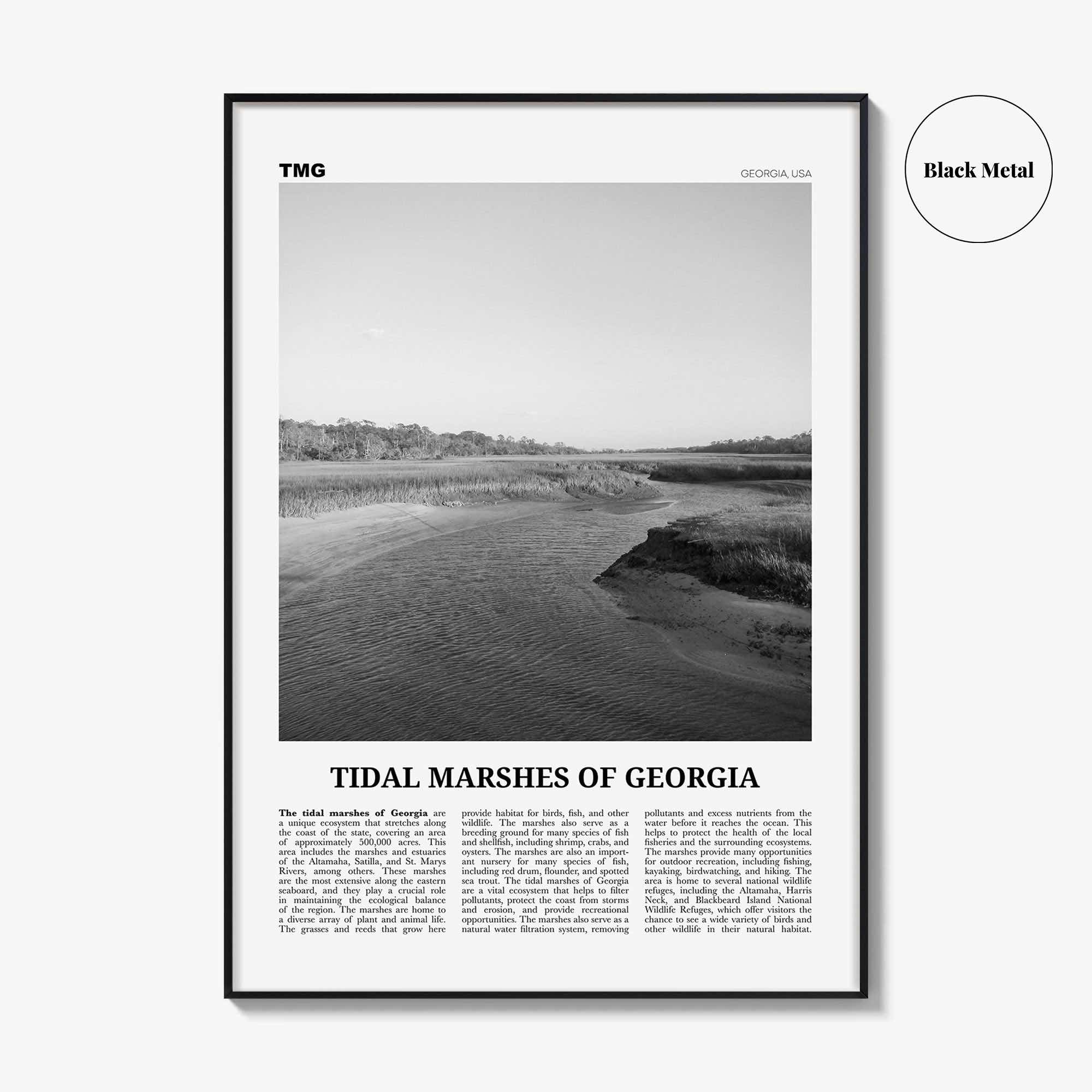 Tidal Marshes Of Georgia Print Black and White, Tidal Marshes Wall Art, Tidal Poster, Photo, Tidal Marshes Wall Décor, Tidal Marshes Map
