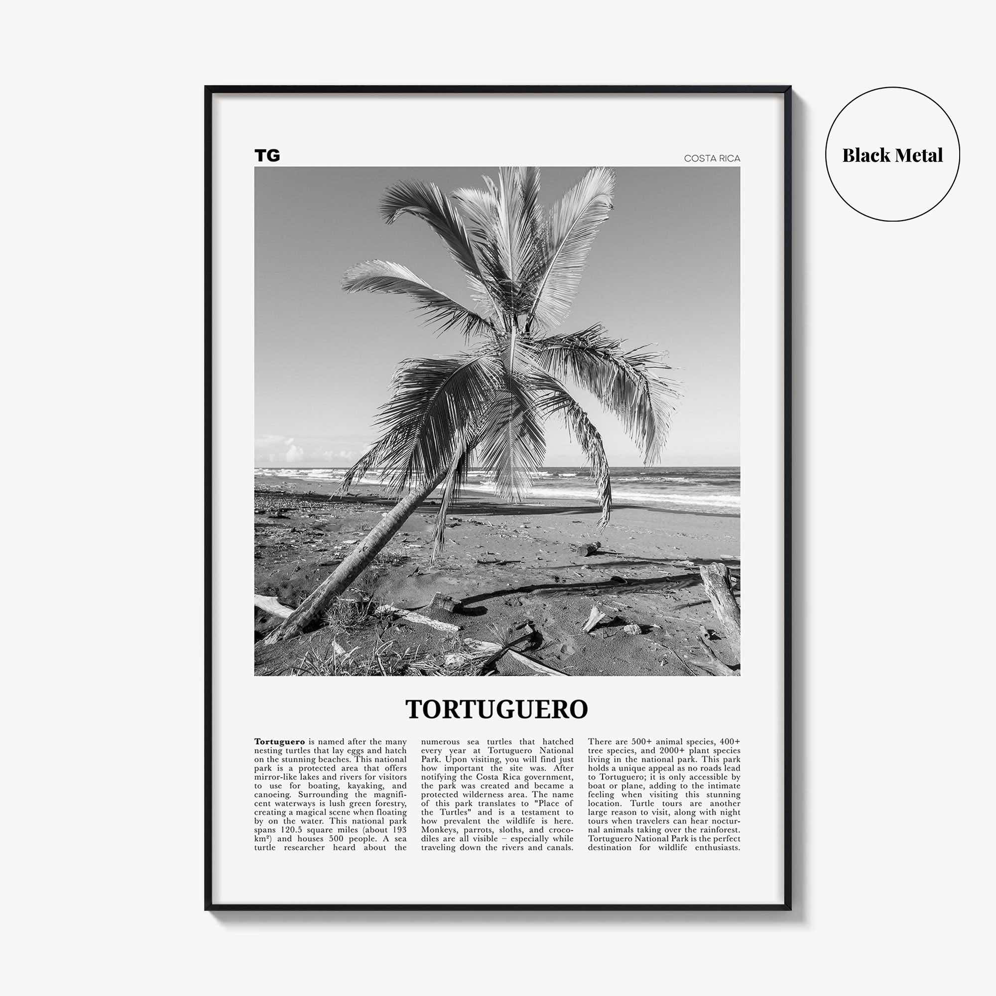 Tortuguero Print Black and White, Tortuguero Wall Art, Tortuguero Poster, Tortuguero Photo, Tortuguero Wall Décor, Costa Rica