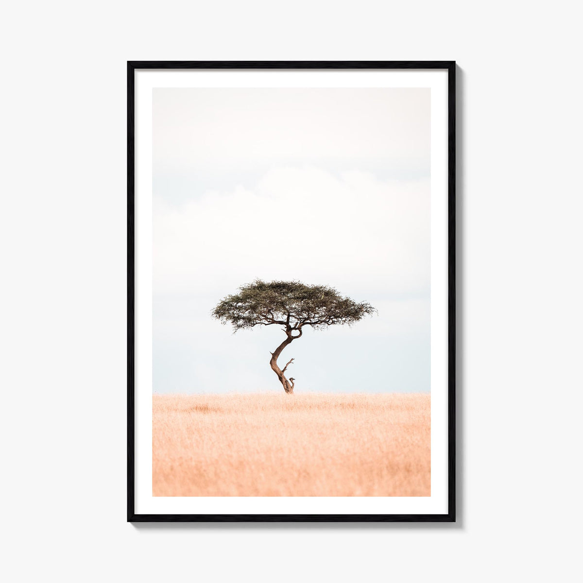 Acacia Tree no. 1 colorful photo poster – vertical wall art, unframed print shown in interior mockup