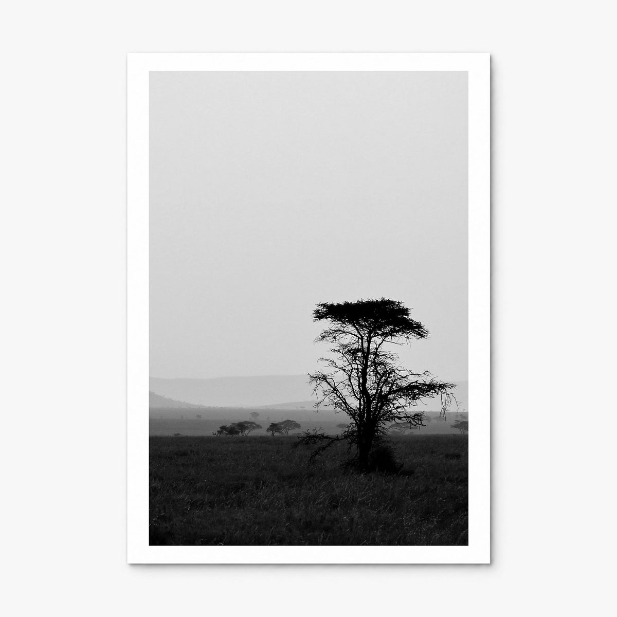 Africa Photo Poster, print only (unframed), white border
