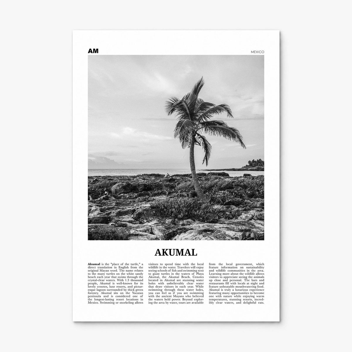 Akumal Newspaper Poster, print only (unframed)