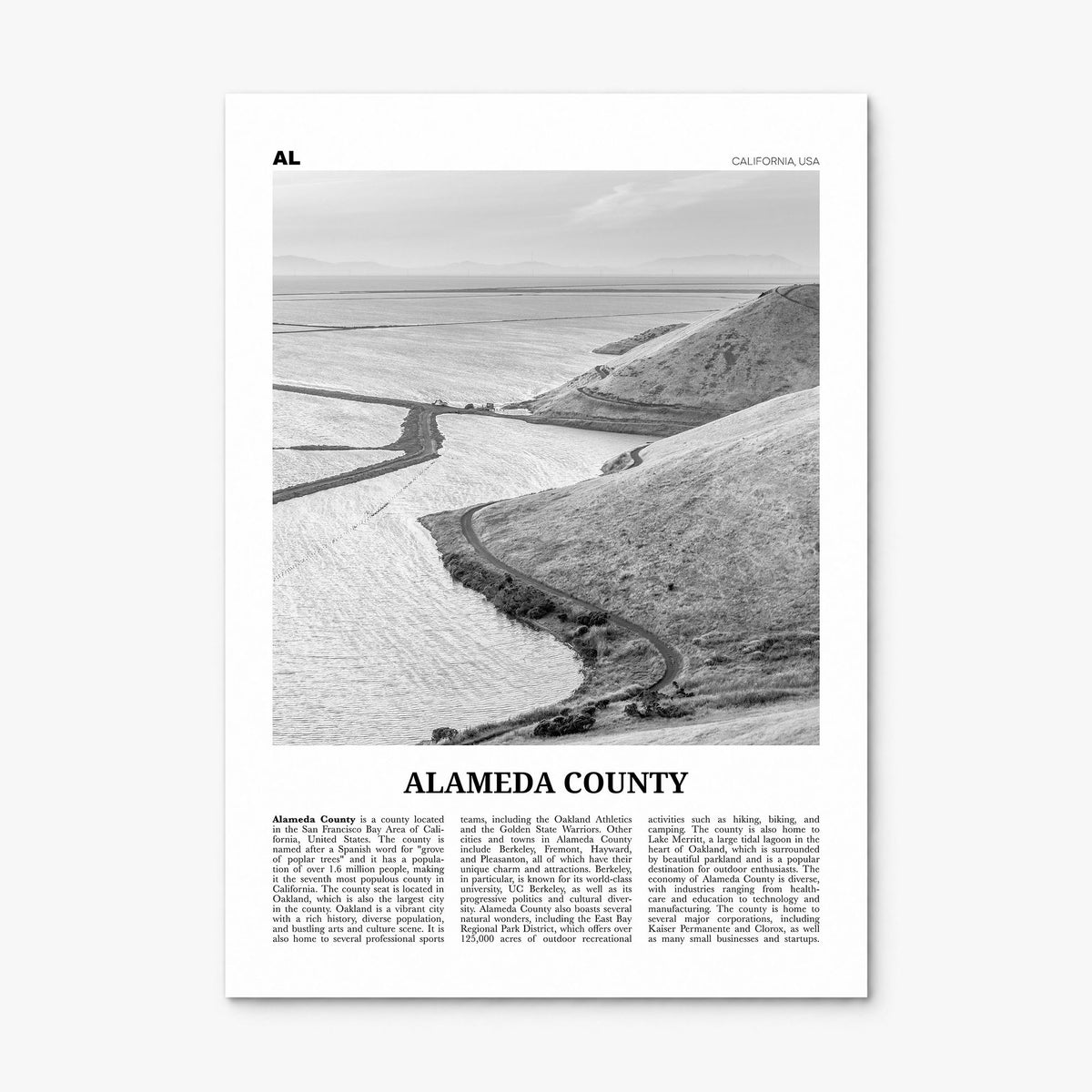 Alameda County Newspaper Poster, print only (unframed)