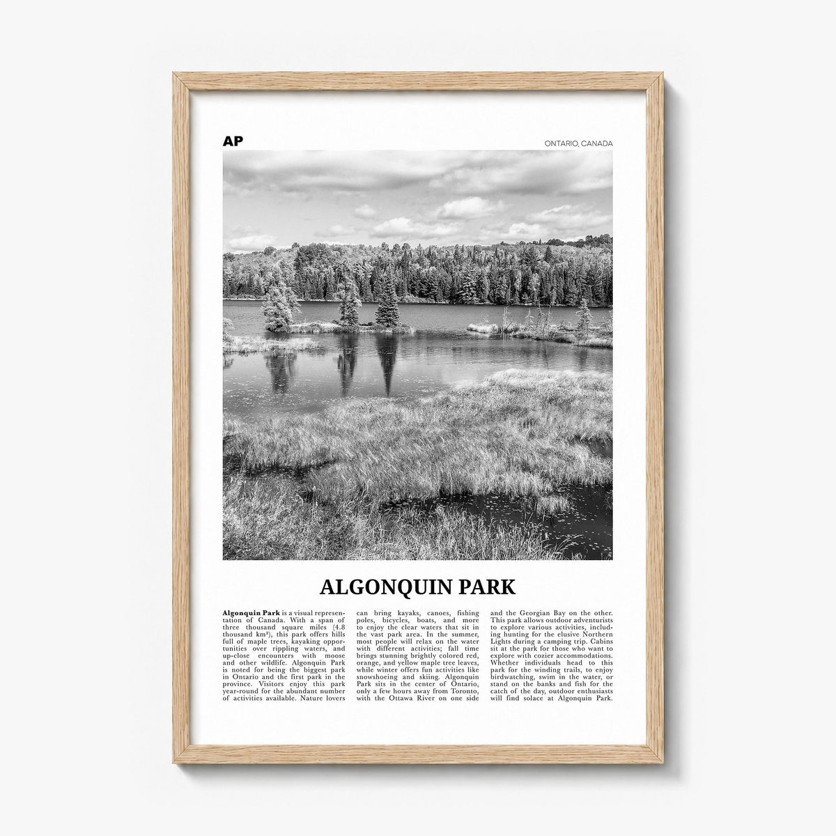Algonquin Park Newspaper Poster in a natural wood frame