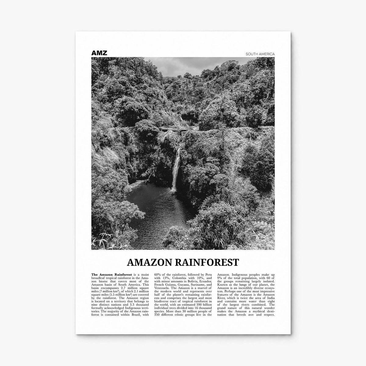 Amazon Rainforest Newspaper Poster, print only (unframed)