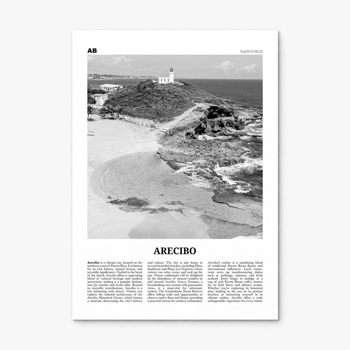 Arecibo Newspaper No 1 Poster, print only (unframed)