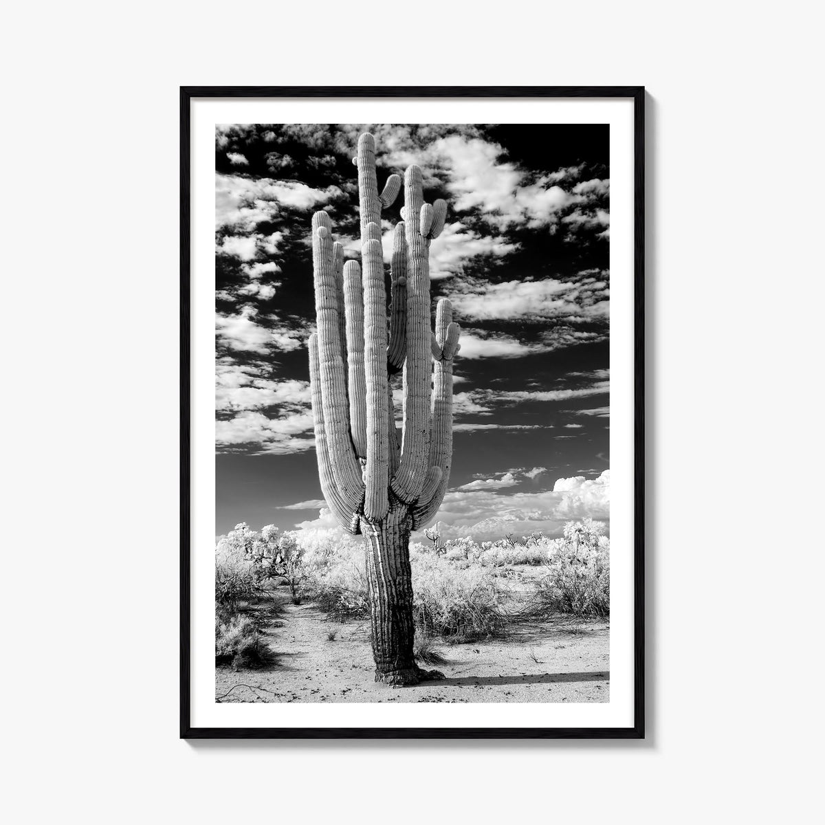 Arizona no. 2 black & white photo poster of United States – vertical wall art, unframed print shown in interior mockup