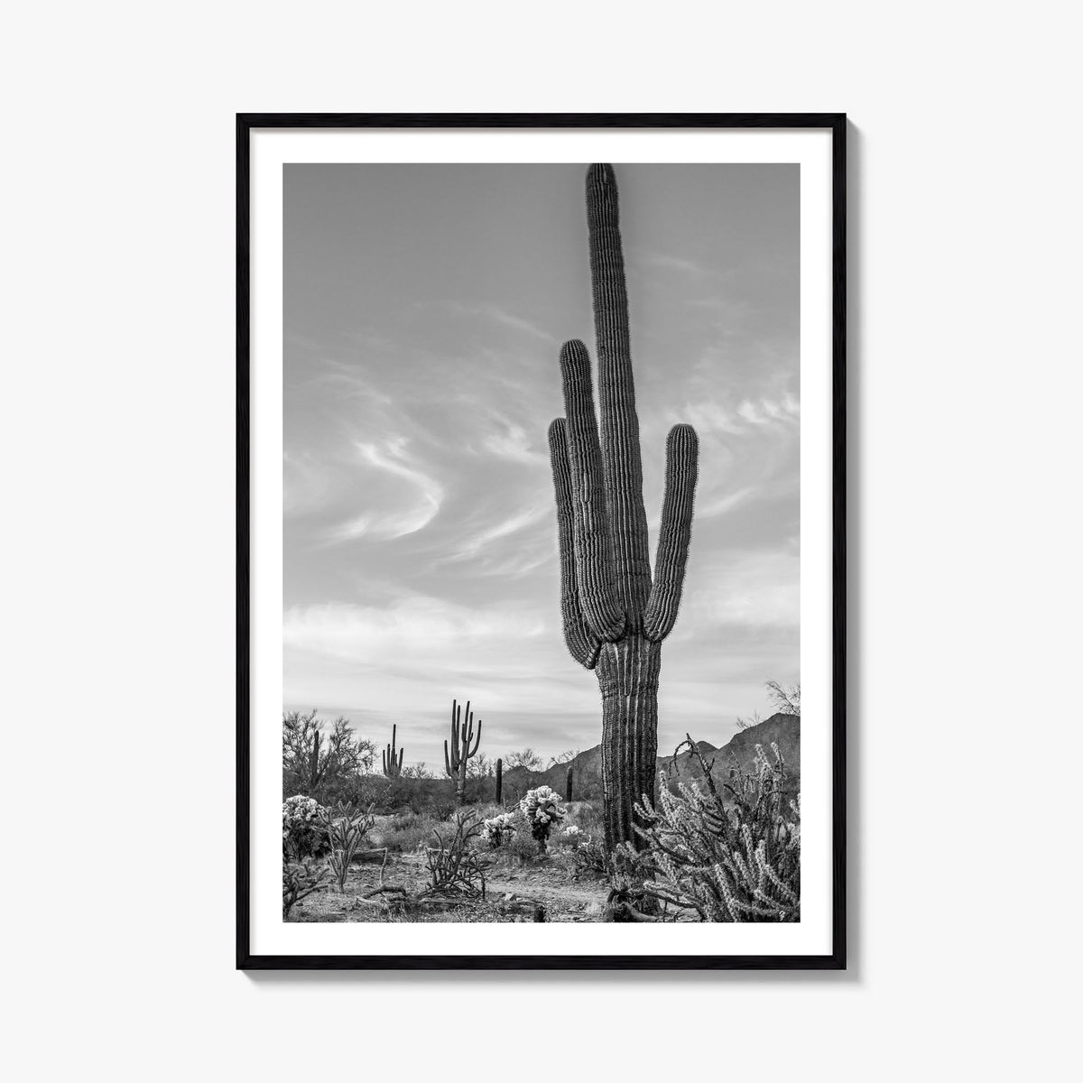 Arizona no. 5 black & white photo poster of United States – vertical wall art, unframed print shown in interior mockup