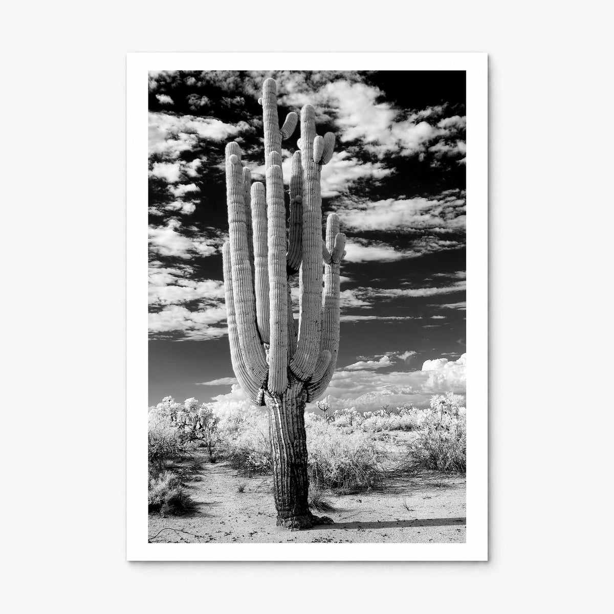 Arizona Photo No 2 Poster, print only (unframed), white border
