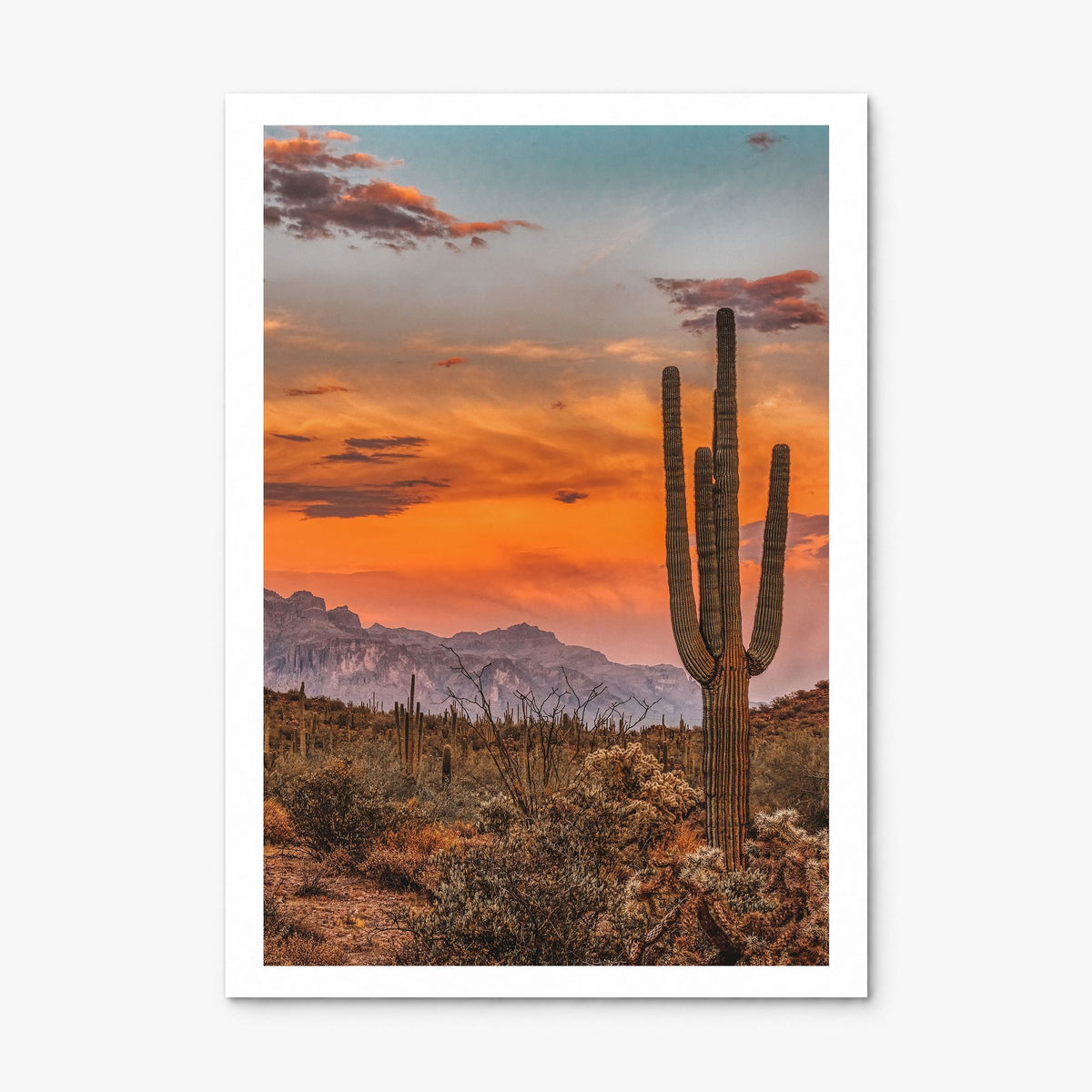 Arizona Photo No 1 Poster, print only (unframed), white border