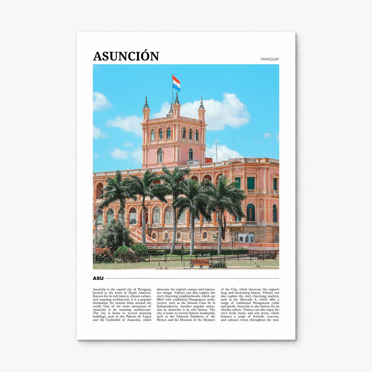 Asunción Travel Poster, print only (unframed)