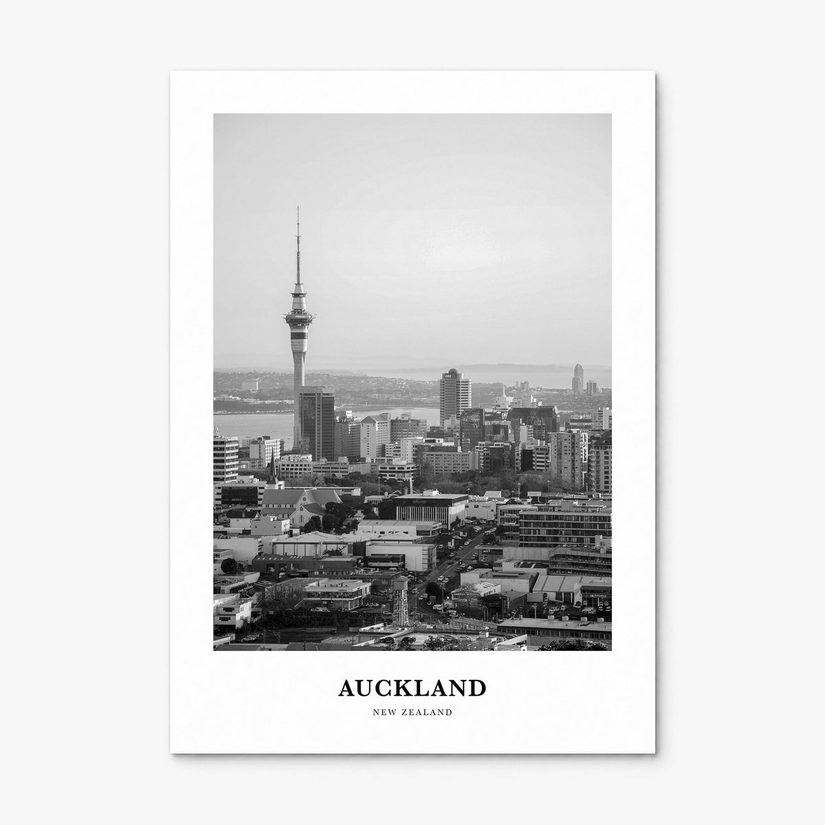 Auckland Classic No 1 Poster, print only (unframed)