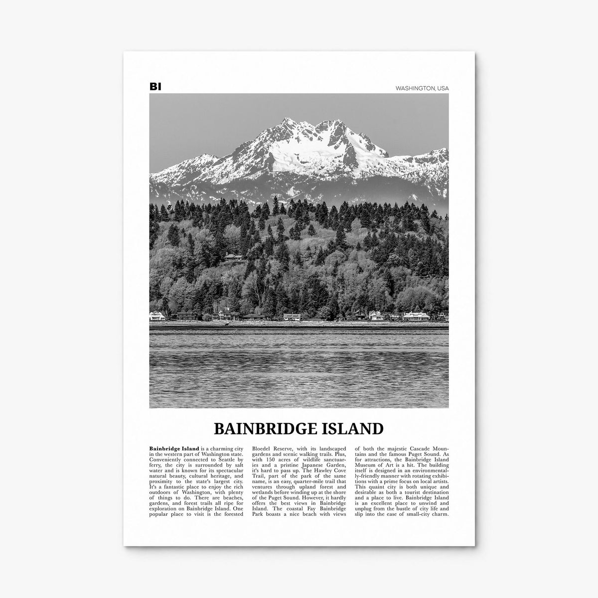 Bainbridge Island Newspaper Poster, print only (unframed)