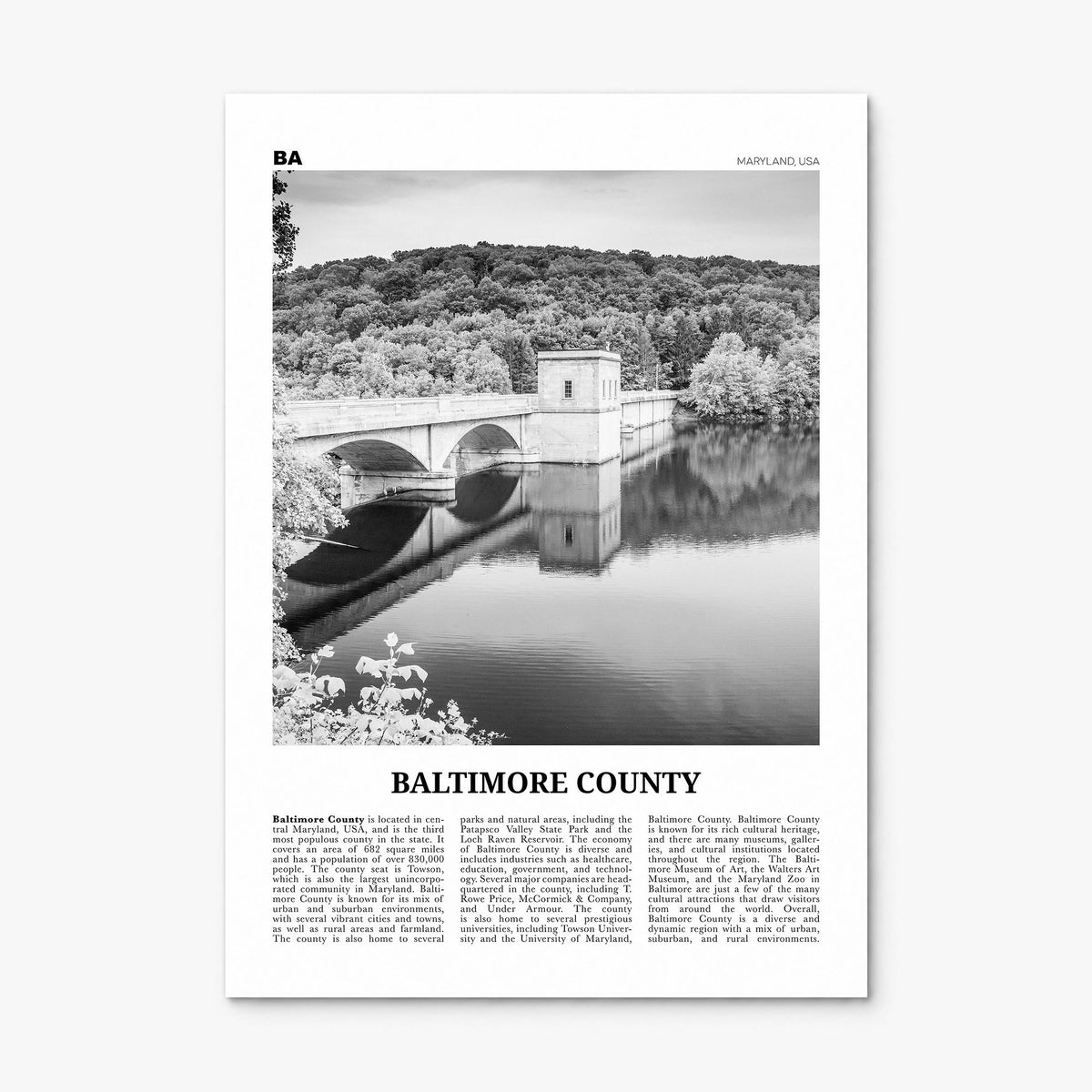 Baltimore County Newspaper Poster, print only (unframed)