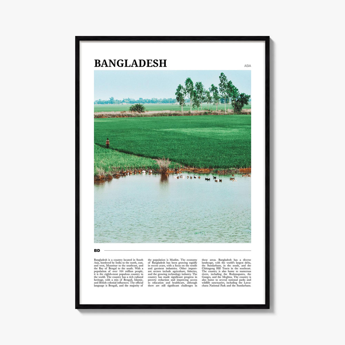 Bangladesh colorful travel poster of Asia – vertical wall art, unframed print shown in interior mockup