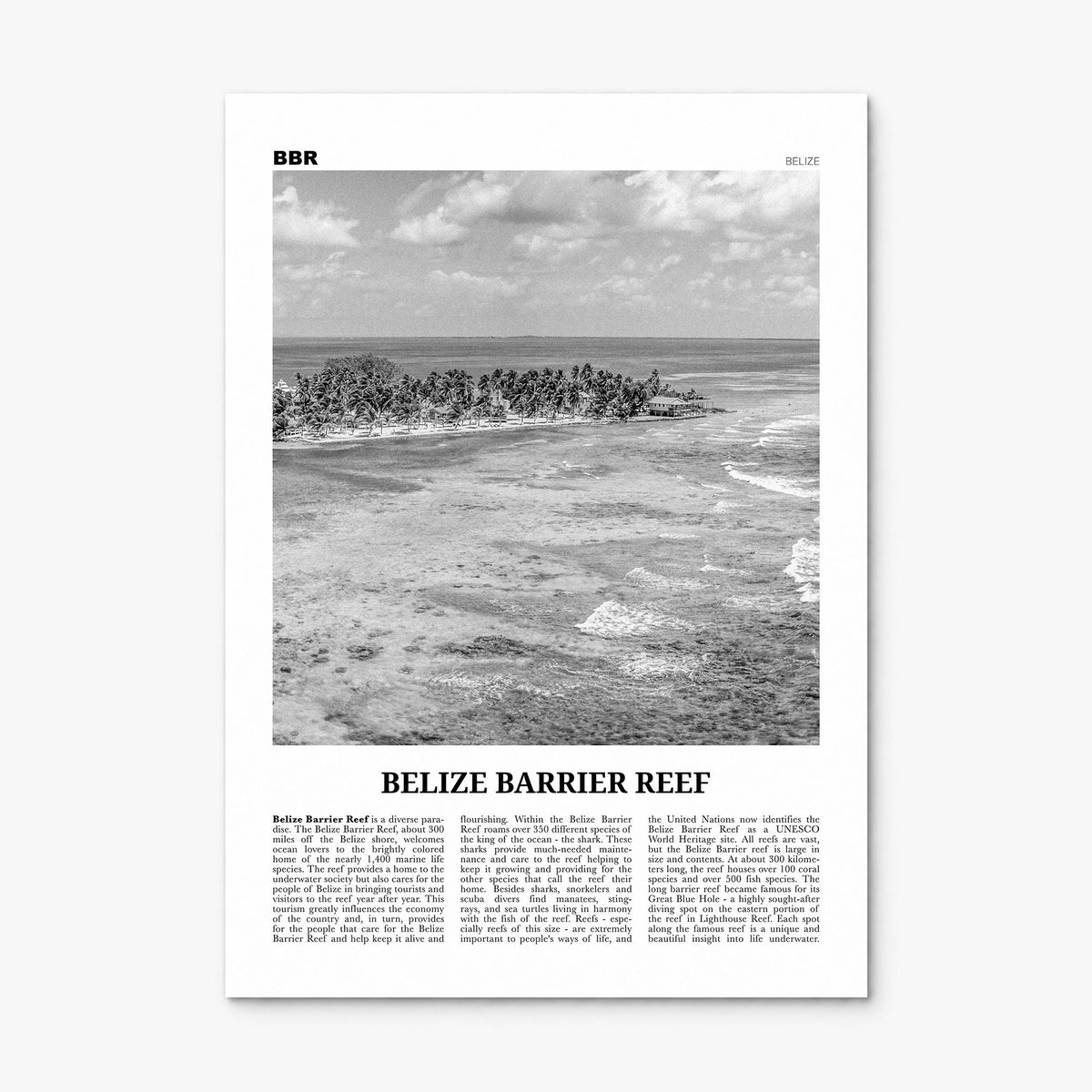 Belize Barrier Reef Newspaper Poster, print only (unframed)