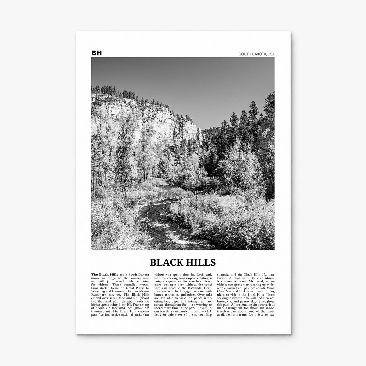 Black Hills Newspaper Poster, print only (unframed)