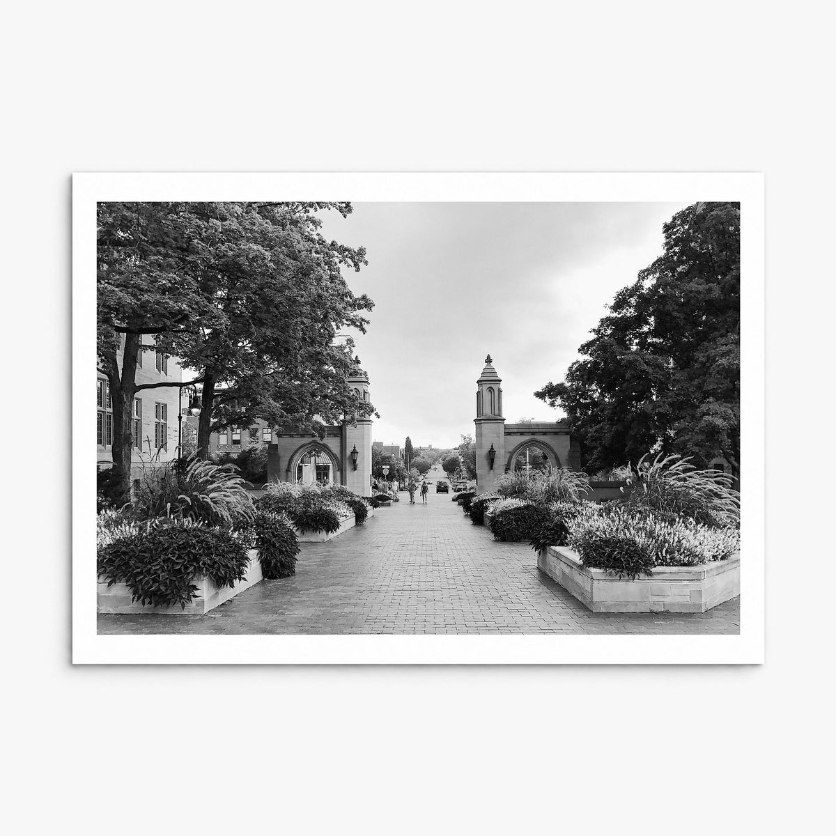 Bloomington Photo Poster, print only (unframed), white border