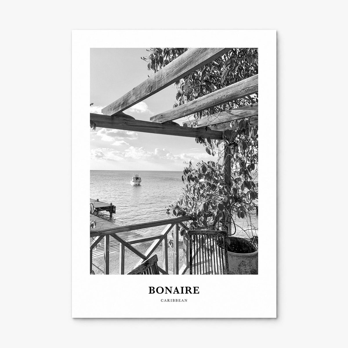 Bonaire Classic Poster, print only (unframed)