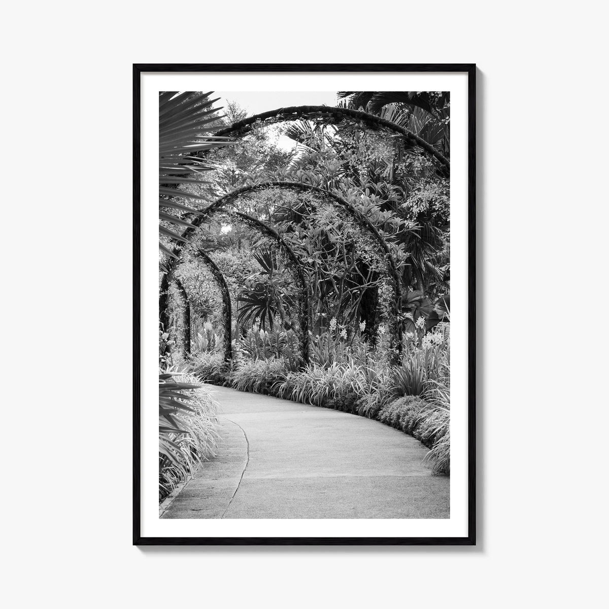 Botanical Garden no. 2 black & white photo poster – vertical wall art, unframed print shown in interior mockup
