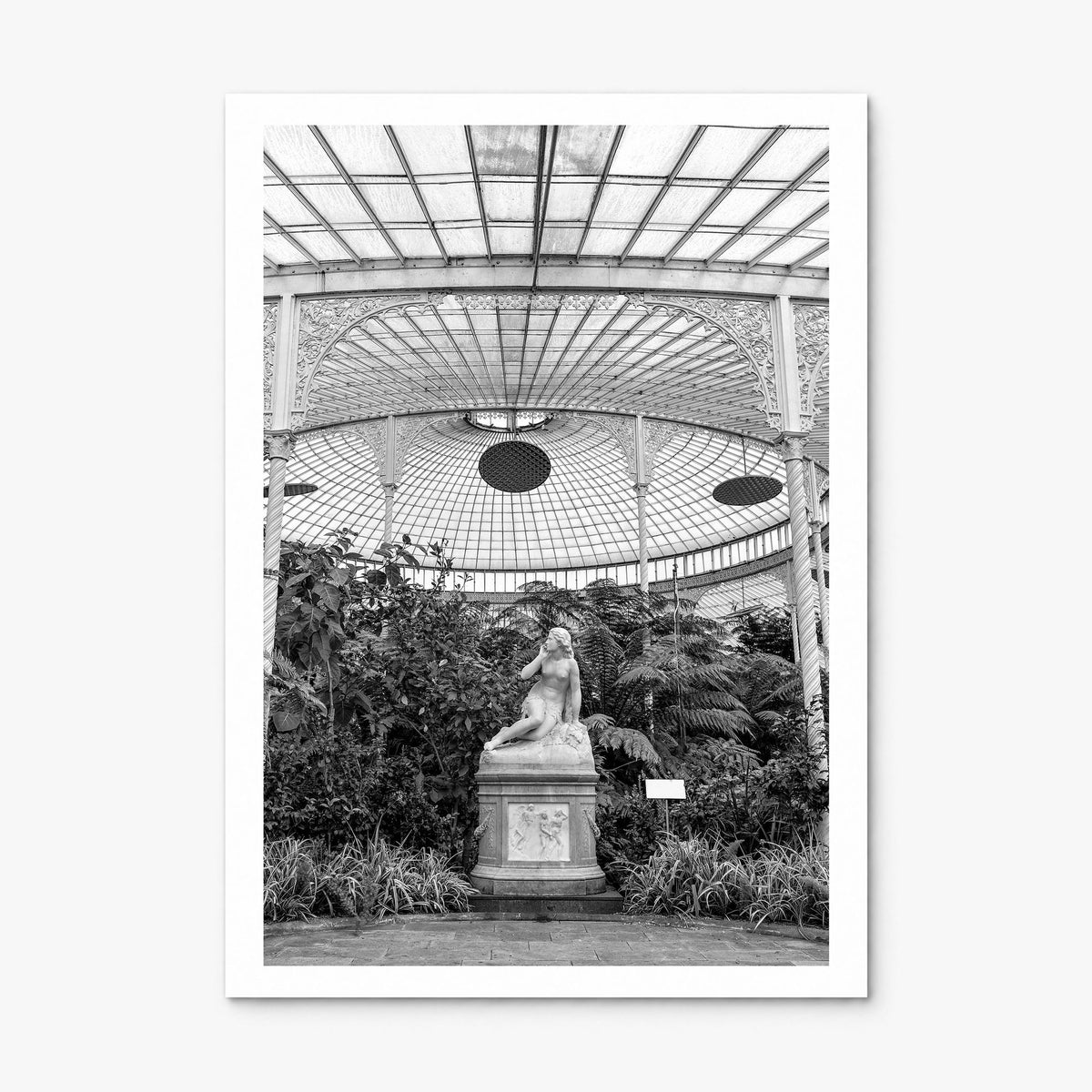 Botanical Garden Photo No 1 Poster, print only (unframed), white border
