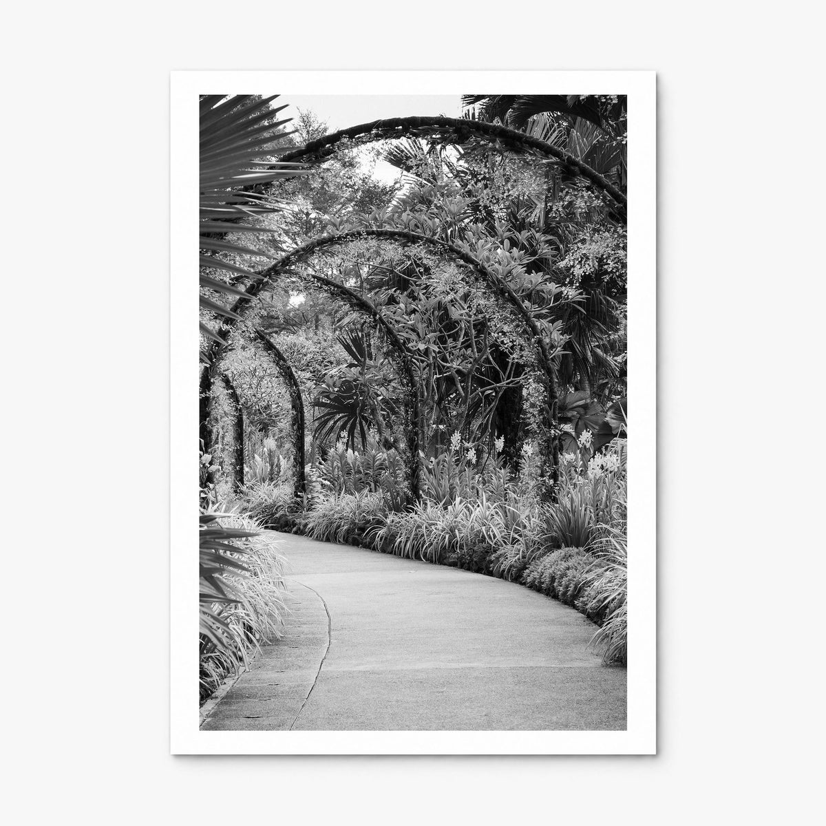 Botanical Garden Photo No 2 Poster, print only (unframed), white border