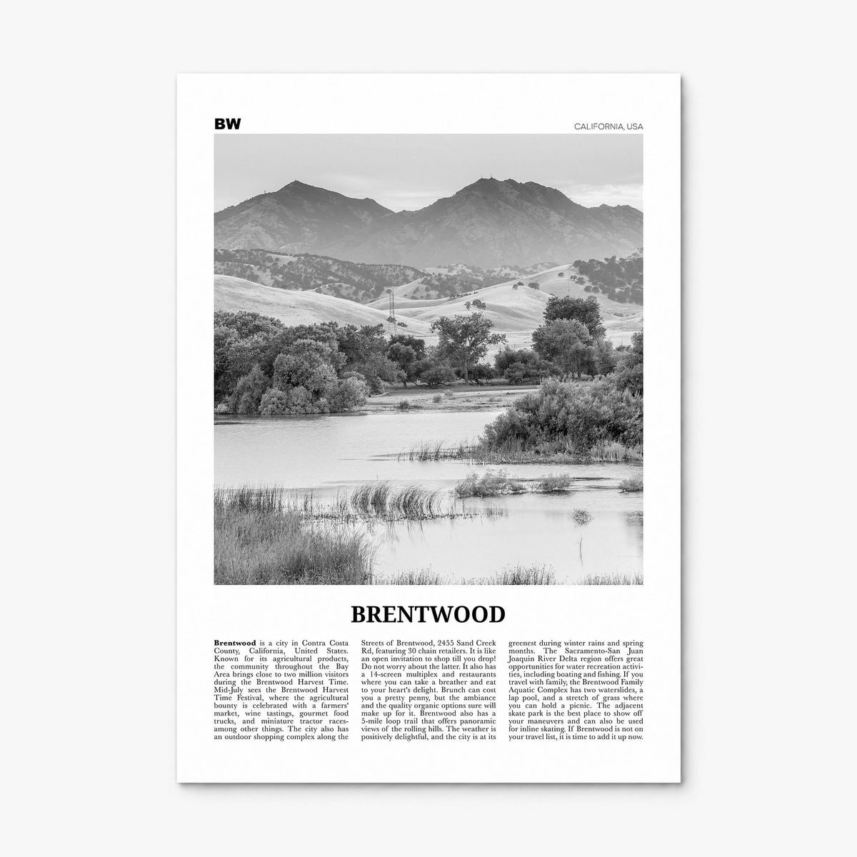 Brentwood Newspaper Poster, print only (unframed)
