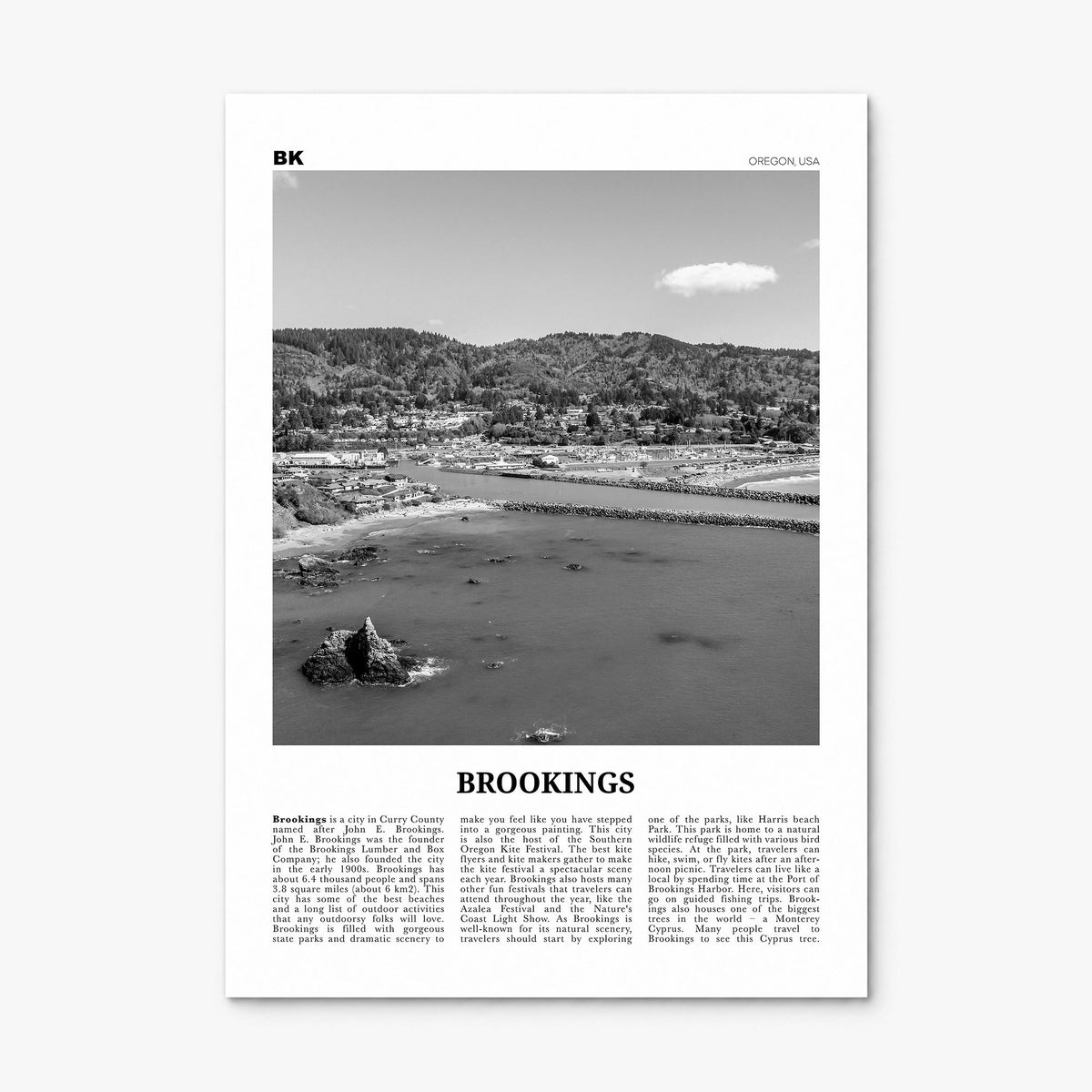 Brookings Newspaper Poster, print only (unframed)