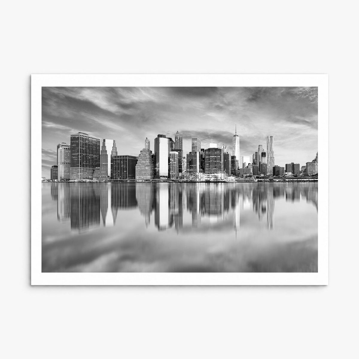 Buffalo Photo Poster, print only (unframed), white border
