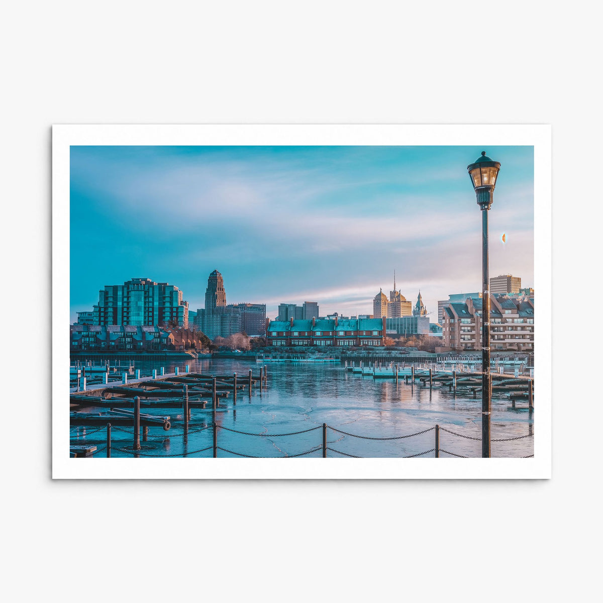 Buffalo Photo Poster, print only (unframed), white border