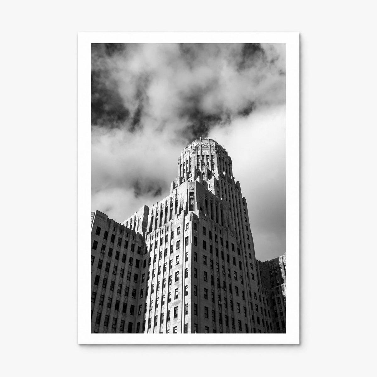 Buffalo Photo No 2 Poster, print only (unframed), white border