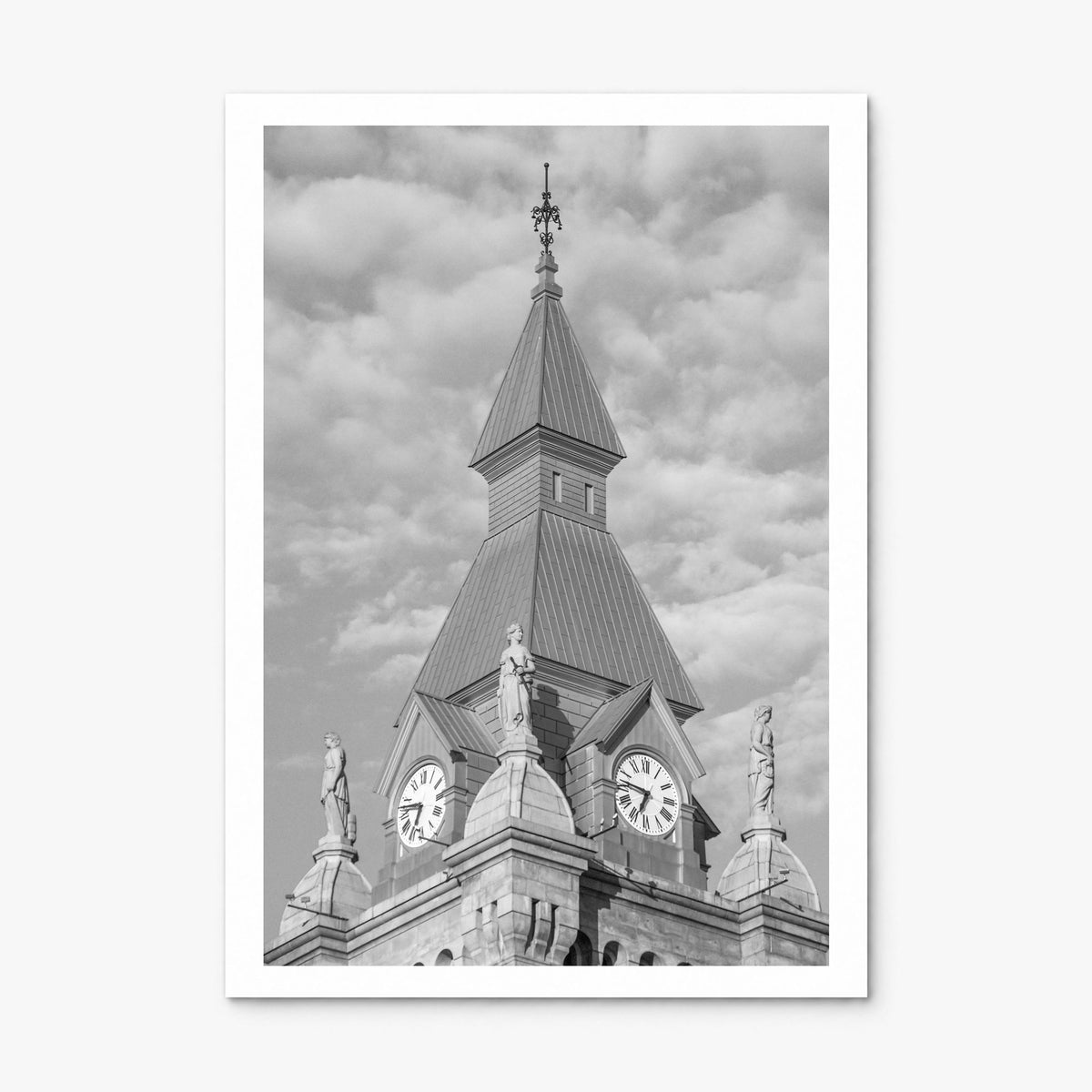 Buffalo Photo No 3 Poster, print only (unframed), white border
