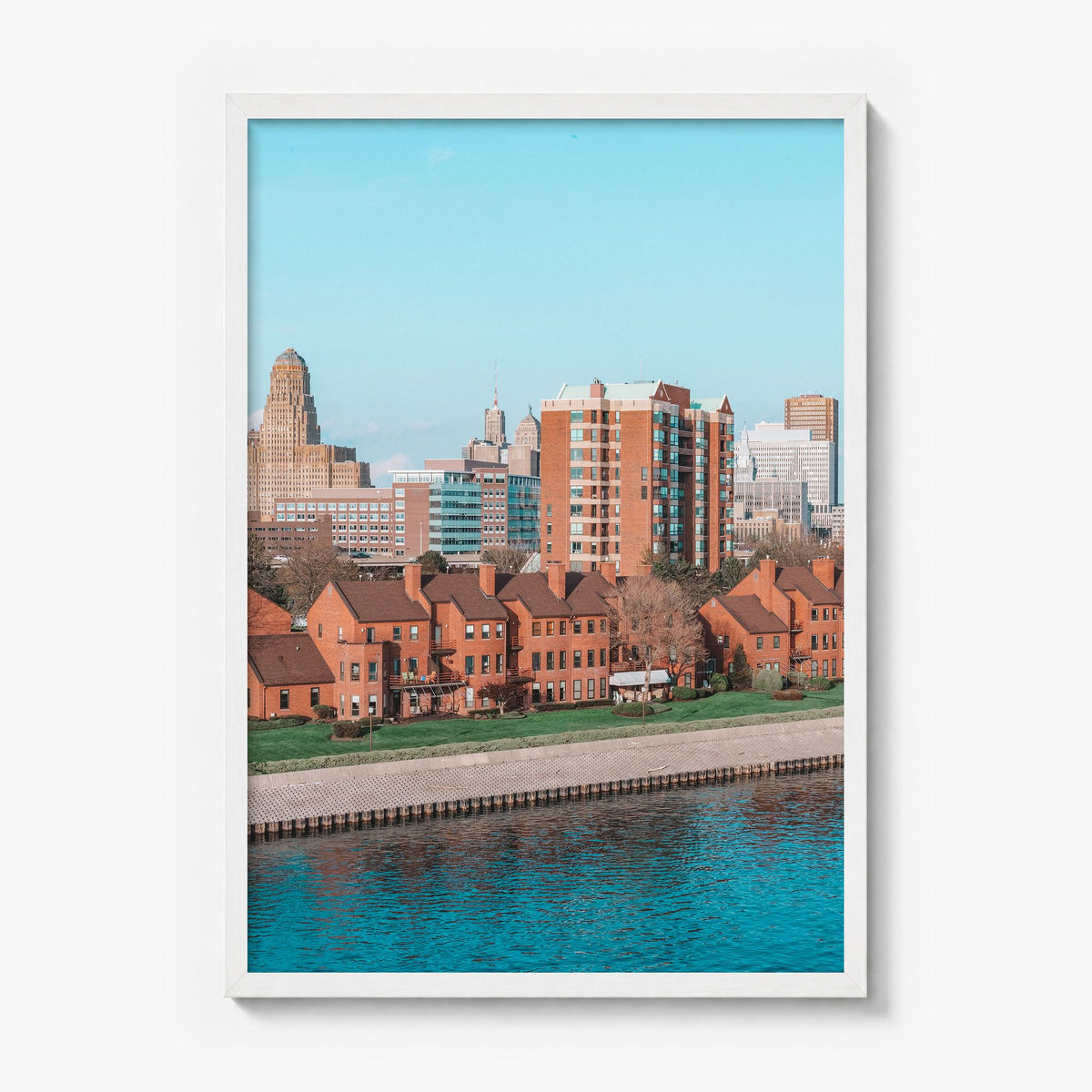 Buffalo Photo No 2 Poster in a white wood frame, full image (no border)