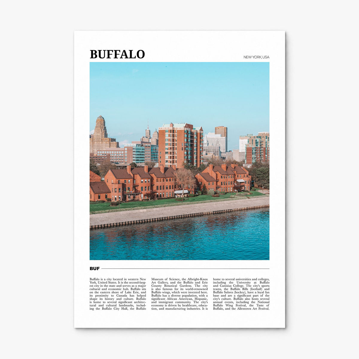 Buffalo Travel Poster, print only (unframed)