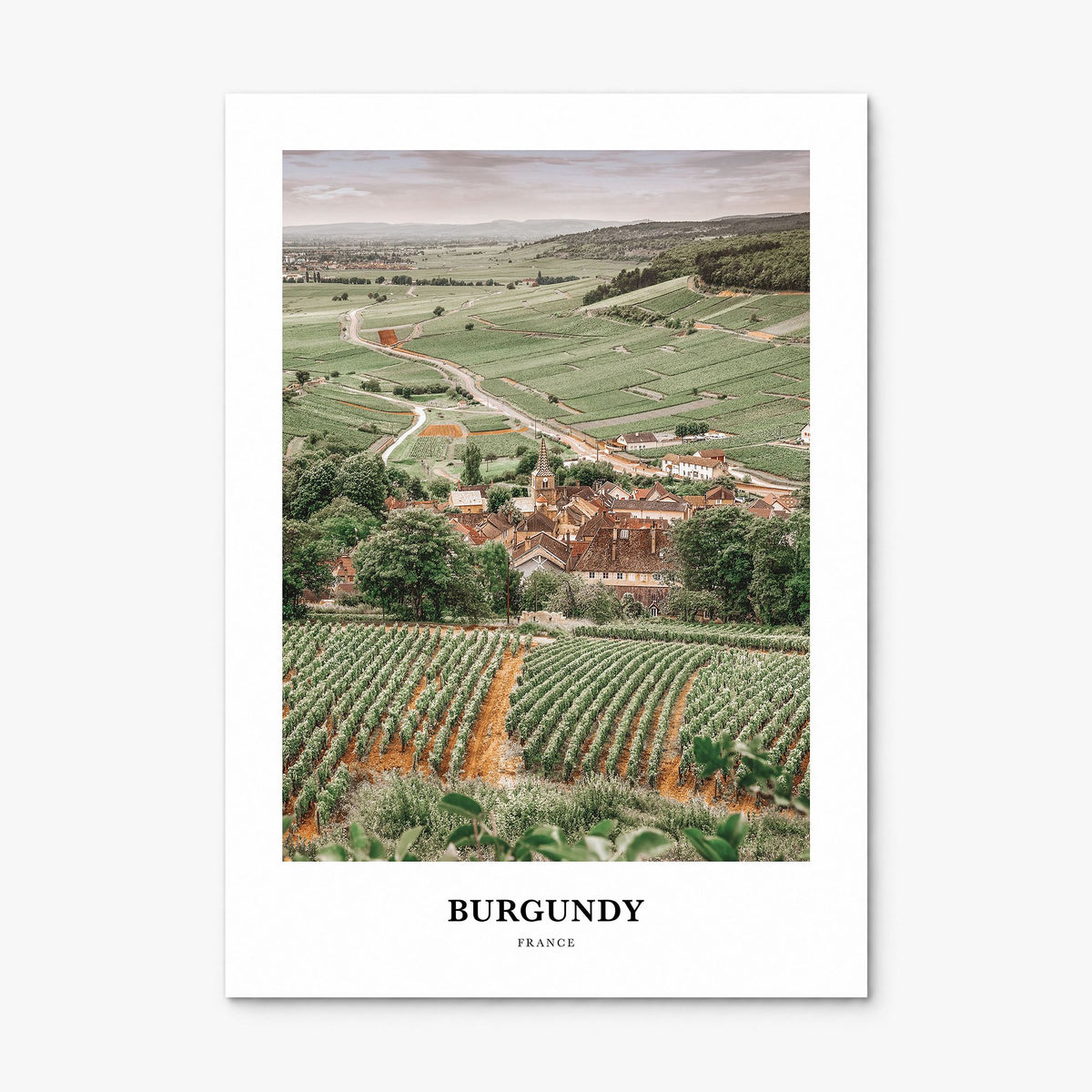 Burgundy Classic Poster, print only (unframed)