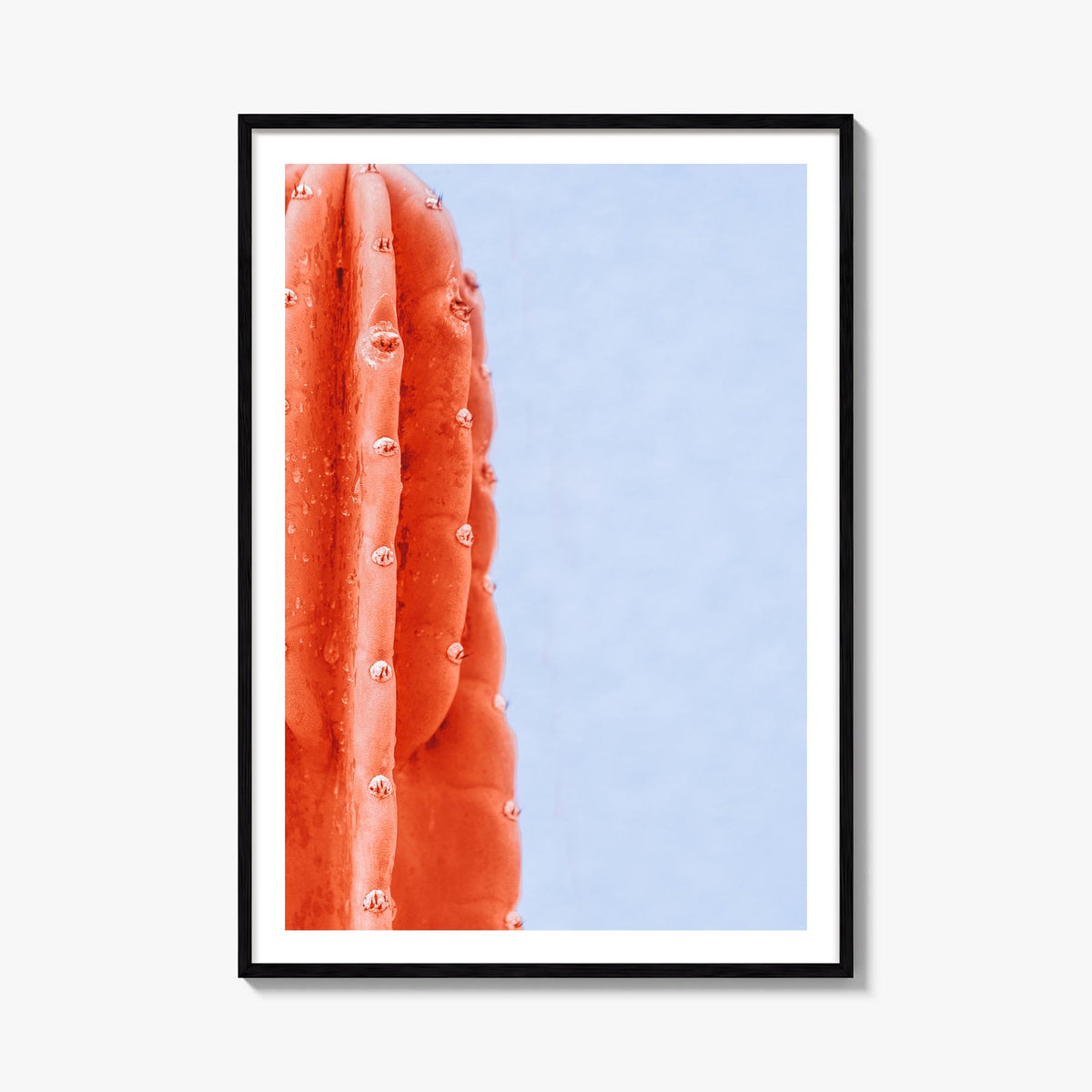 Cactus no. 5 colorful photo poster – vertical wall art, unframed print shown in interior mockup