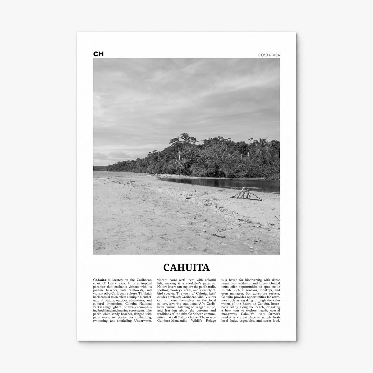 Cahuita Newspaper Poster, print only (unframed)