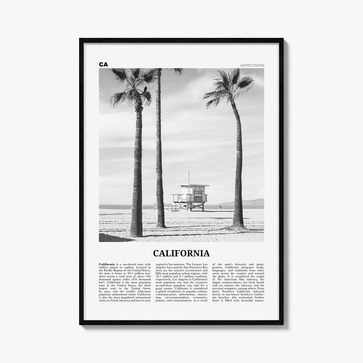 California Newspaper No 2 Poster