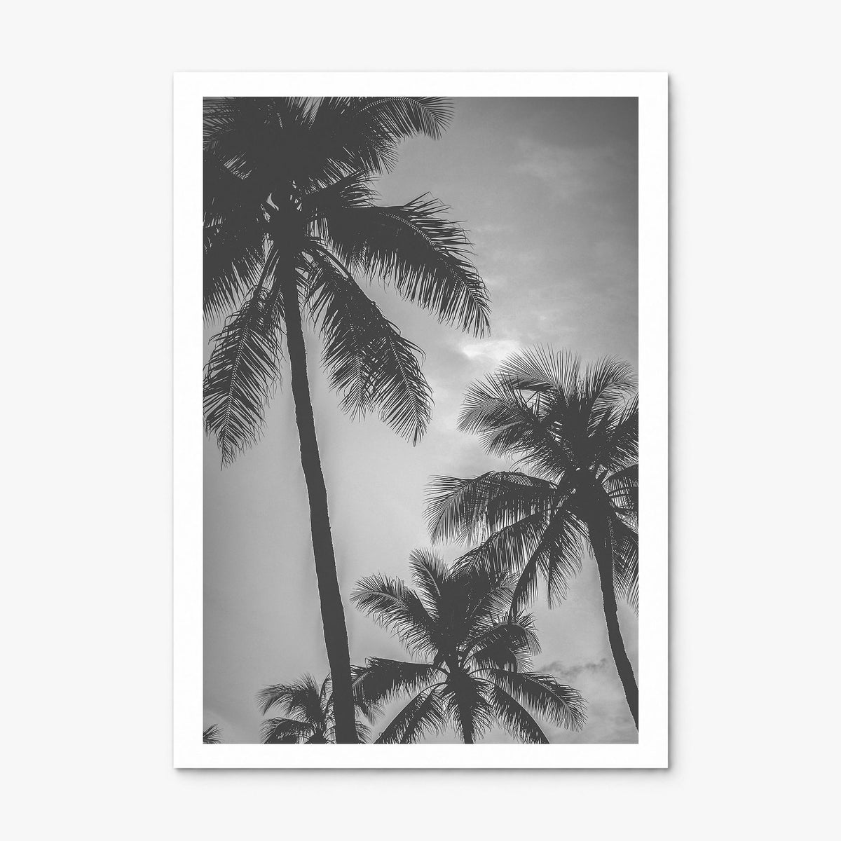 California Photo No 5 Poster, print only (unframed), white border