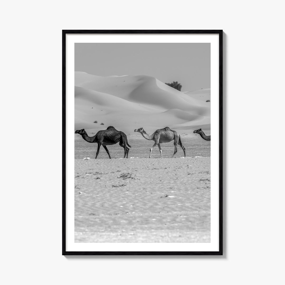 Camel Caravan no. 2 black & white photo poster – vertical wall art, unframed print shown in interior mockup
